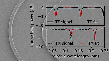 Rasterelektronenmikroskopie-Bild eines tiefgeätzten Euler-U-Bogen-Segments. Darüber liegen zwei Diagramme als Overlay. Das obere Diagramm vergleicht das TE-Signal und dessen Anpassung, während das untere Diagramm das TM-Signal und dessen Anpassung zeigt. Beide Diagramme stellen die normalisierte Leistung (dB) in Abhängigkeit von der relativen Wellenlänge (nm) dar, wobei bei bestimmten Wellenlängen Einbrüche in der Leistung zu sehen sind, die eine enge Übereinstimmung zwischen den Signalen und ihren entsprechenden Anpassungen zeigen.