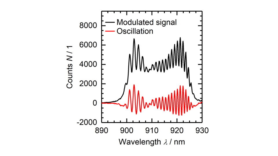 Graph displaying the spectral profiles of two signals: a modulated signal (black) and an oscillation (red), plotted as functions of wavelength (nm) and intensity (count rate N). The signals exhibit distinct wave patterns and amplitude variations.