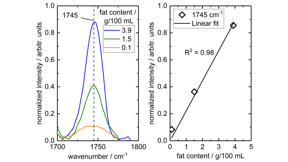 Two graphs next to each other. The left graph shows normalized intensity at 1745 cm⁻¹ for different fat contents (3.9, 1.5, and 0.1 g/100 mL) represented by blue, green, and orange curves. The right graph plots normalized intensity versus fat content, showing a linear fit with R² = 0.98. This illustrates the relationship between fat content and intensity at 1745 cm⁻¹.