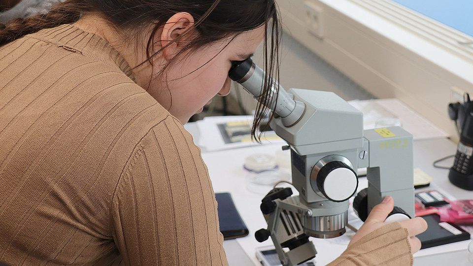 Photo of a girl looking through a microscope.