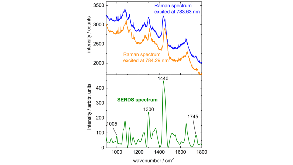 Two graphs on top of each other. The top graph displays two Raman spectra excited at 783.63 nm (blue) and 784.29 nm (orange). The bottom graph shows the corresponding SERDS spectrum (green), with labeled peaks at 1005, 1300, 1440, and 1745 cm⁻¹. Both graphs share the same wavenumber range (1000 to 1800 cm⁻¹).