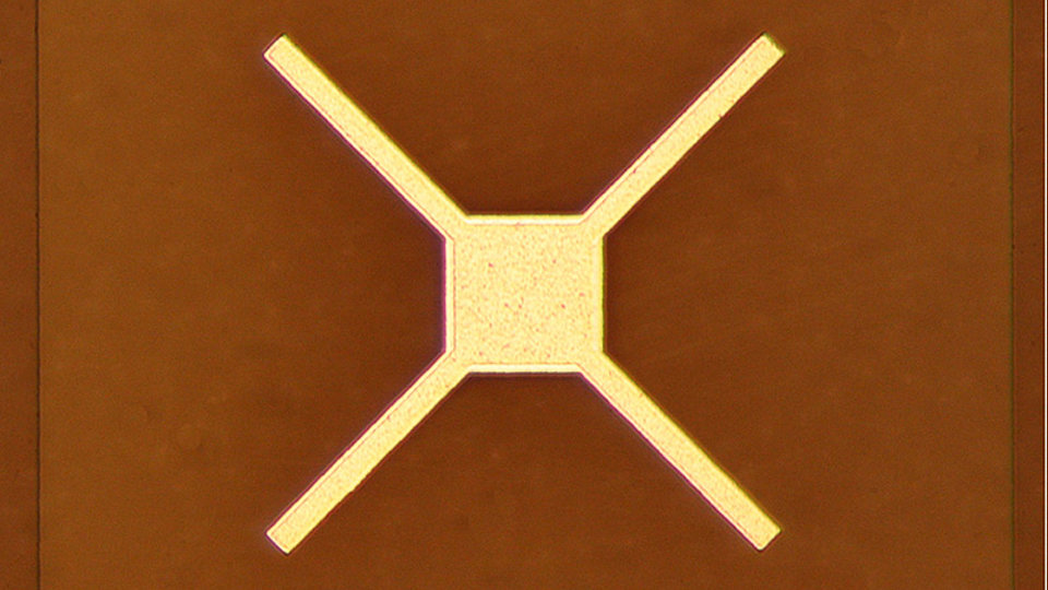 Micrograph photo diode